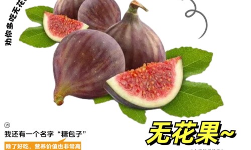 聚维酮碘含漱液的主治网—知名的聚碘维酮含漱液有用吗网站,分享聚维酮碘含漱液和聚维酮碘溶液有什么区别知识